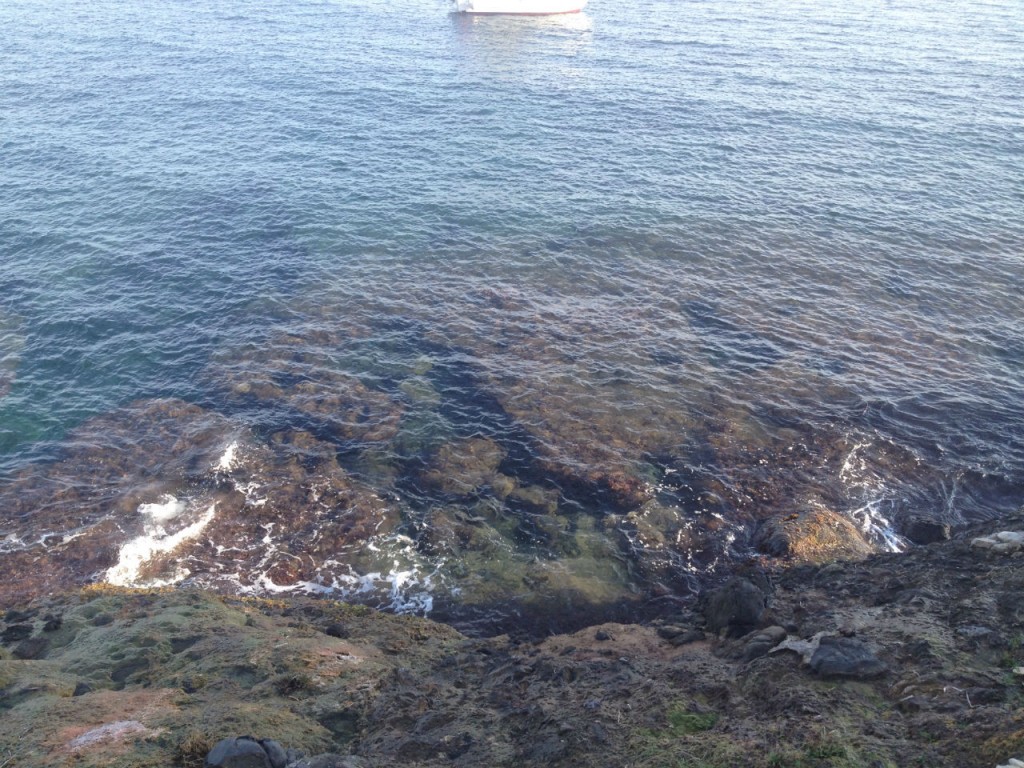 Le clapotis des vagues le long du sentier des douaniers