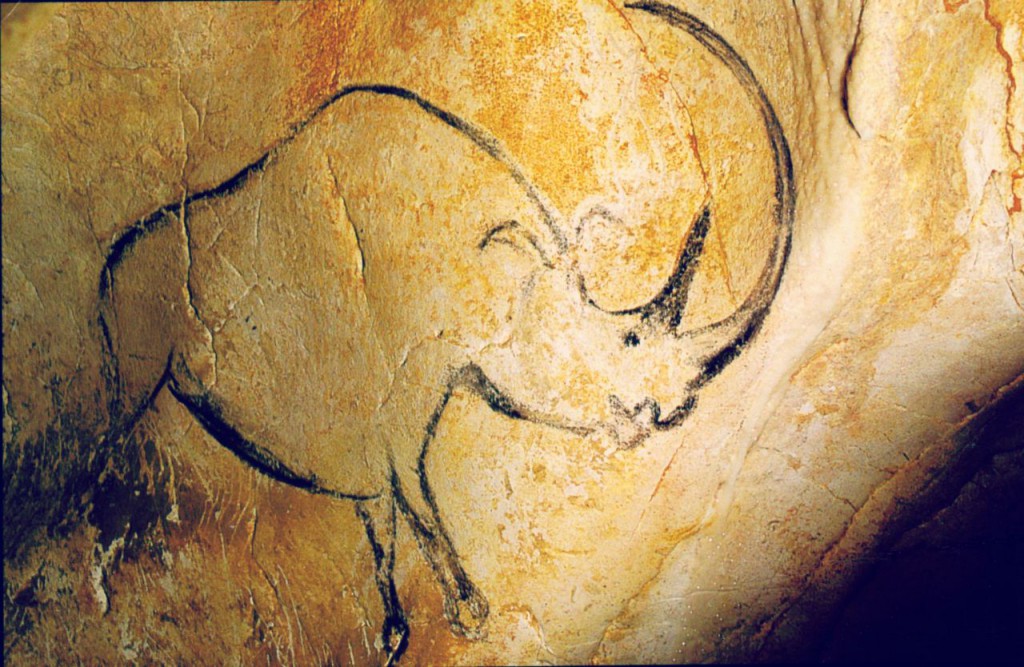 Découvrez les merveilleuses peinture rupestre de la grotte de Chauvet.