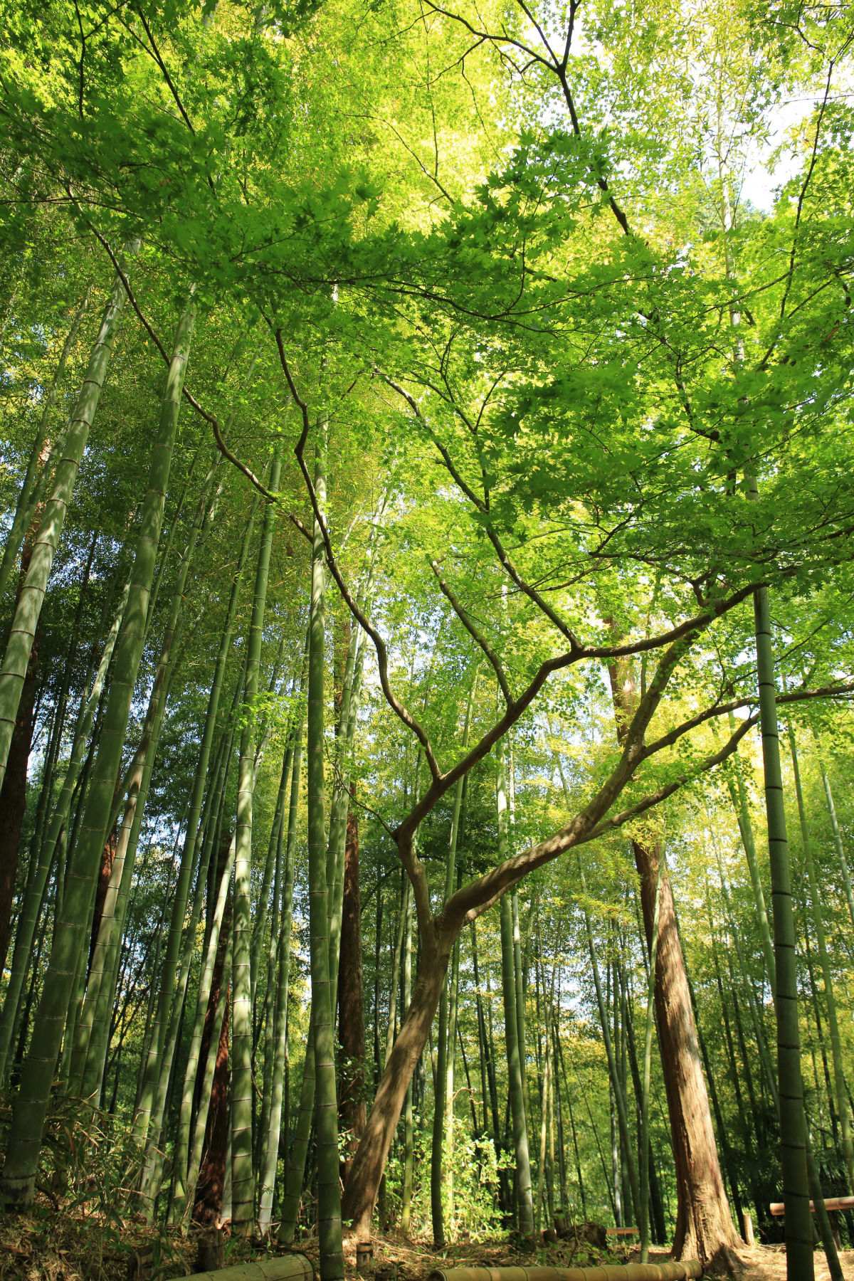 3 idées de sortie pour les amoureux de la nature