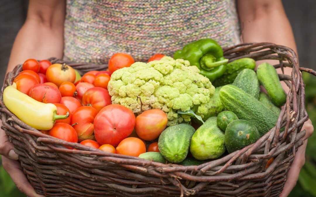 Mon avis sur les paniers de légumes bio livrés à domicile