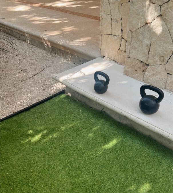 Pourquoi les promoteurs optent de plus en plus pour des espaces verts sans arrosage ?